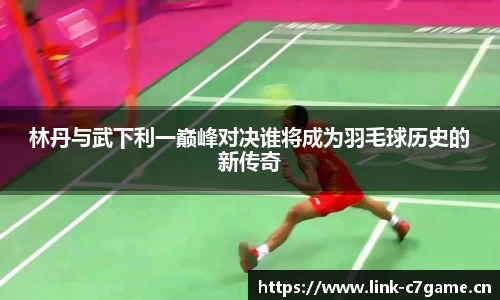 林丹与武下利一巅峰对决谁将成为羽毛球历史的新传奇